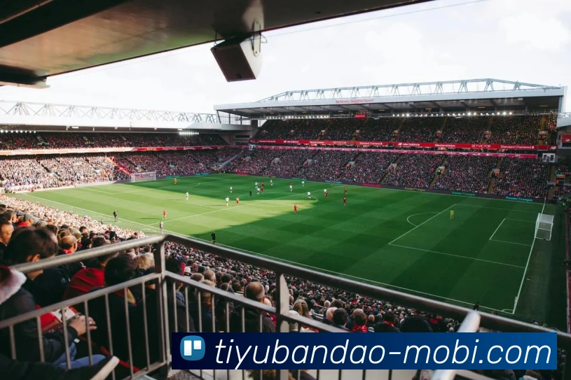 半岛体育平台生态图