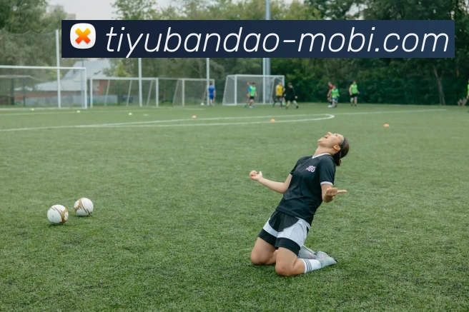 半岛体育APP 封面图